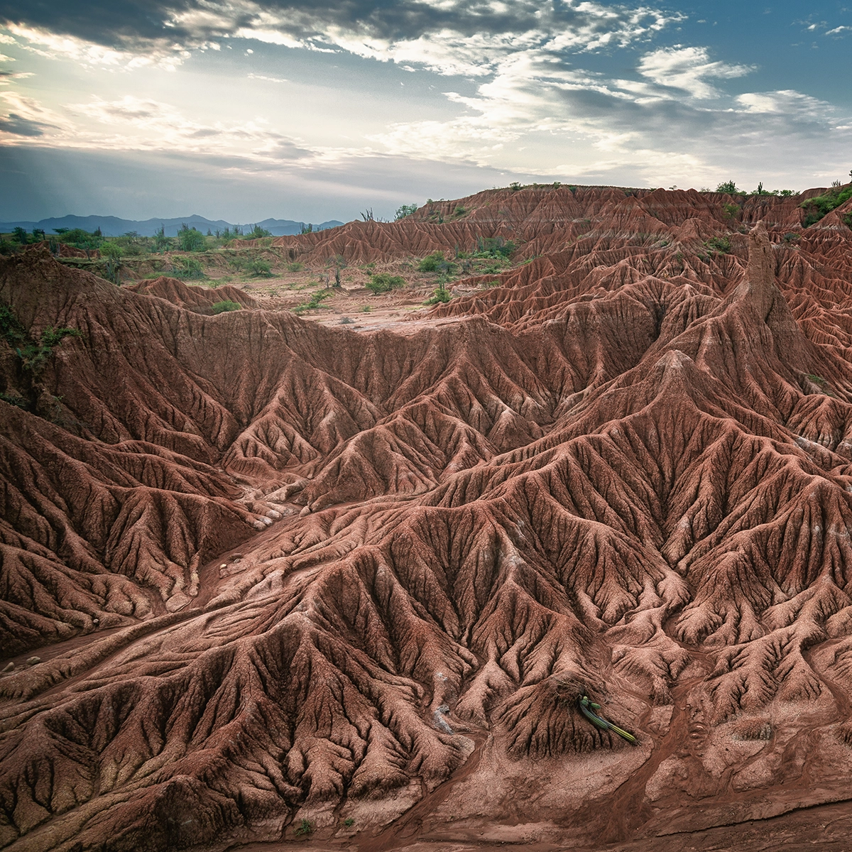 Paisaje del Desierto Rojo El Cuzco en la Tatacoa
